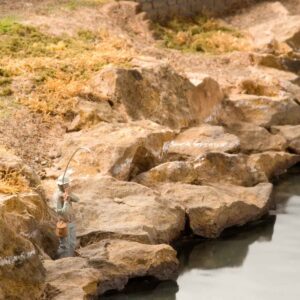 Rock Creek Sand